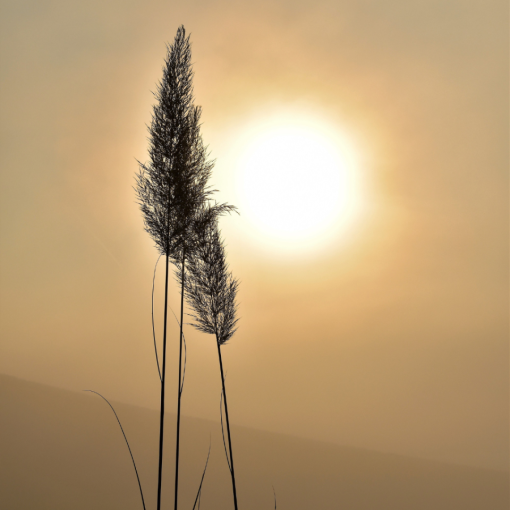 Nagyhét és húsvét 2026